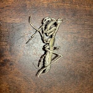 Sterling Silver PRAYING MANTIS PIN